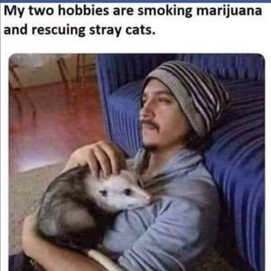 Meet your Posher, Nate